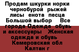 Продам шкурки норки, чернобурой, рыжей лисы, енота, песца. Большой выбор. - Все города Одежда, обувь и аксессуары » Женская одежда и обувь   . Кемеровская обл.,Калтан г.